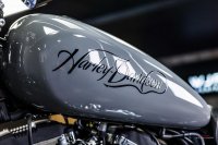 HARLEY-DAVIDSON Sportster